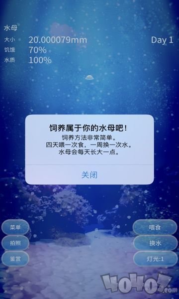 治愈的养成水母