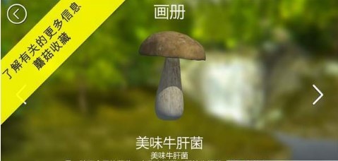 蘑菇猎人模拟器