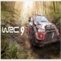 WRC 9 FIA世界拉力锦标赛