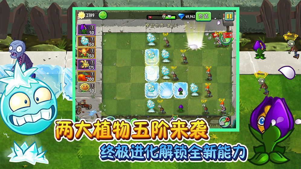 植物大战僵尸破解版2迎双旦