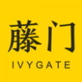 藤门全知道v1.0