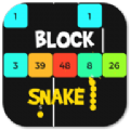 方块蛇对决(Snake Vs Block)