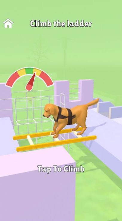 狗子特训营(Hyper Dog Training)