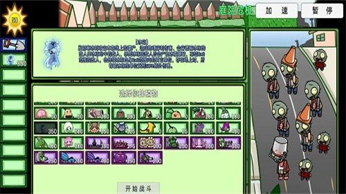 pvzbt冰花vBeta 0.58.05