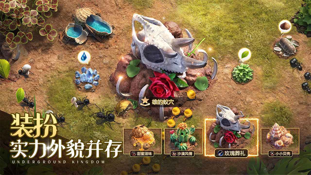 小小蚁国官服v1.31.0