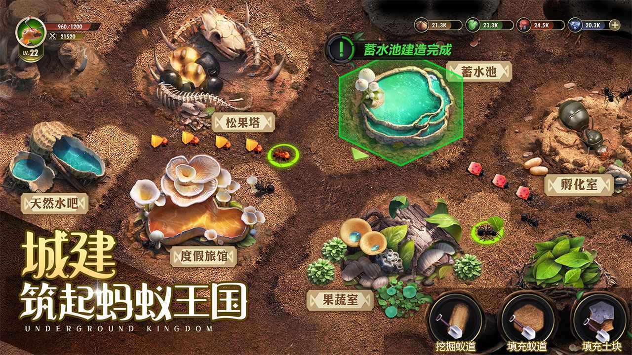 小小蚁国官服v1.31.0