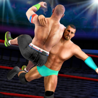 真实摔跤(Real Wrestling)v1.9