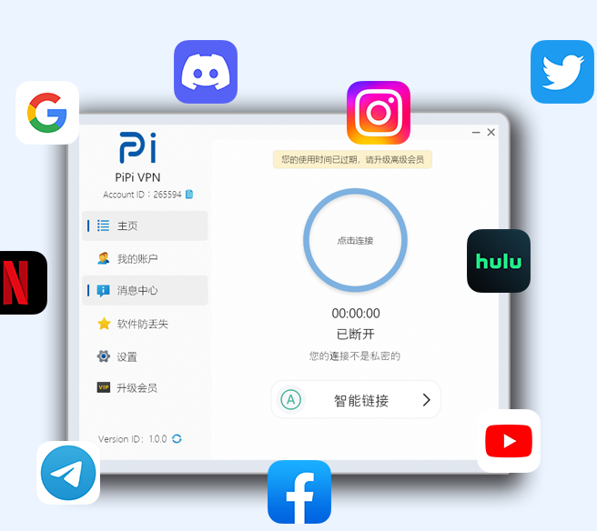 皮皮 VPN