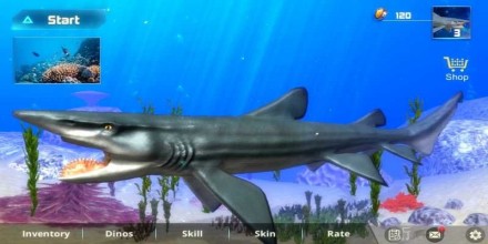 模拟鲨鱼类游戏大全