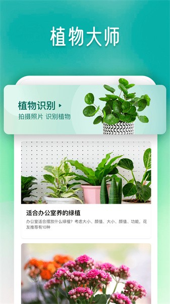 植物大师