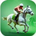 赛马竞争对手(Racehorse Rivals)