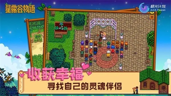 星露谷物语(Stardew Valley)