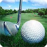 高尔夫大师3D(Golf Master)