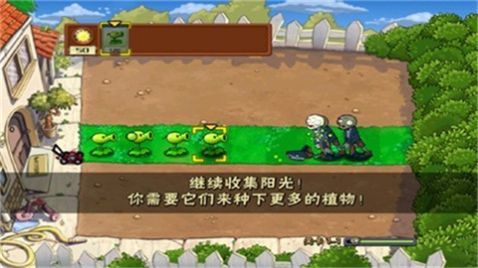 植物大战僵尸：升天版