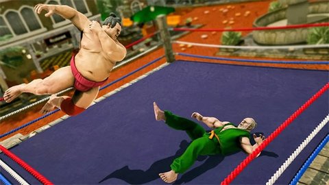 健身房战斗格斗(Gym Combat: Fighting Games)