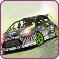 无限试驾2(Rally Racer Dirt)